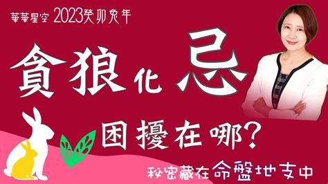 2023流年四化|【88Say紫微斗數年運】2023癸卯年總運勢（上）